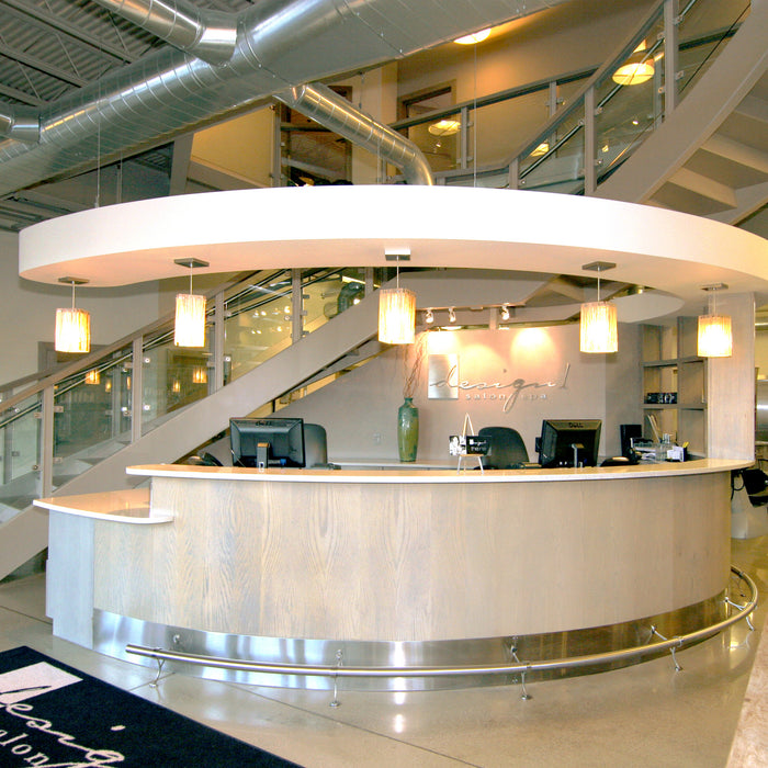 SALON SATURDAY: INTERVIEW WITH MICHIGAN'S DESIGN 1 SALONS